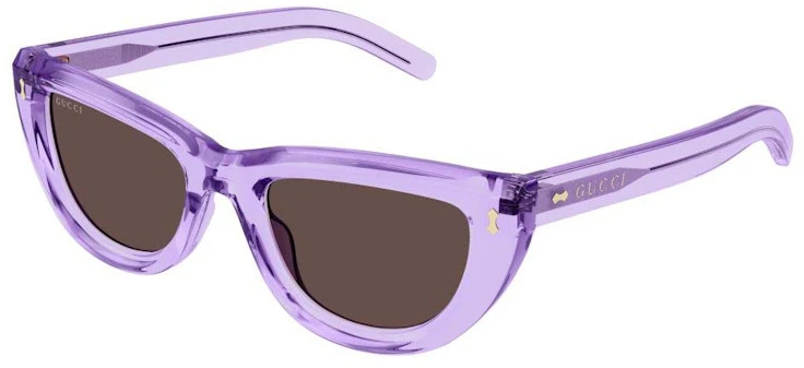 gucci-acetate-cat-eye-frame-sunglasses-violet-crystal-brown-gg-1521-s-004-fr