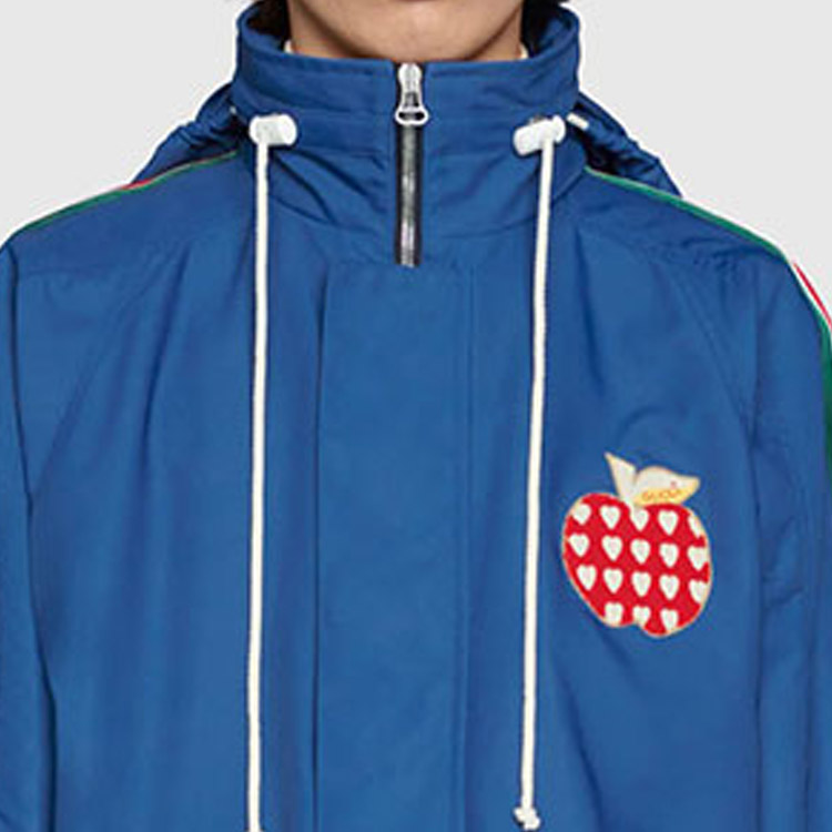 Details for Gucci Blue Logo Apple Stripe Print Jacket 663646-ZAHC7-4211
