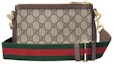 Lookbook Gucci Gucci Blondie GG Mini Bag GG Supreme Beige/Ebony/Green/Red