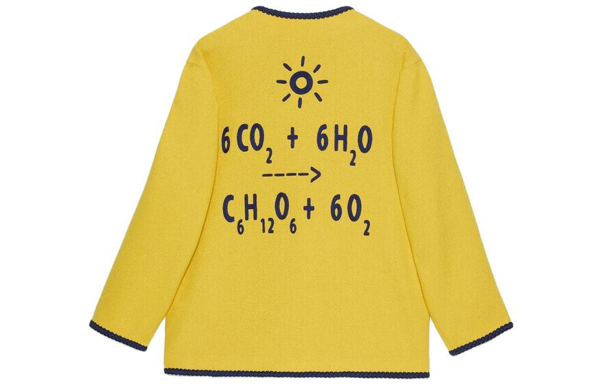 GUCCI SS23  Yellow Striped Embroidered Button-Up Long Sleeve Jacket 741095-ZAM2F-7707 圖 3