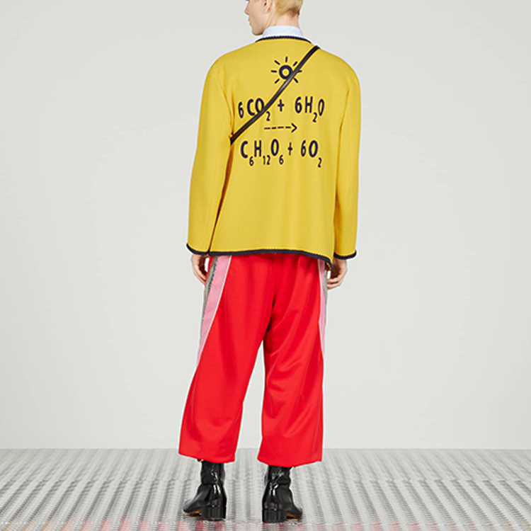 GUCCI SS23  Yellow Striped Embroidered Button-Up Long Sleeve Jacket 741095-ZAM2F-7707 圖 6