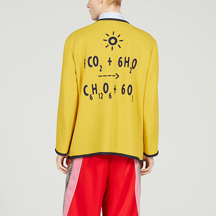 GUCCI SS23  Yellow Striped Embroidered Button-Up Long Sleeve Jacket 741095-ZAM2F-7707 圖 7