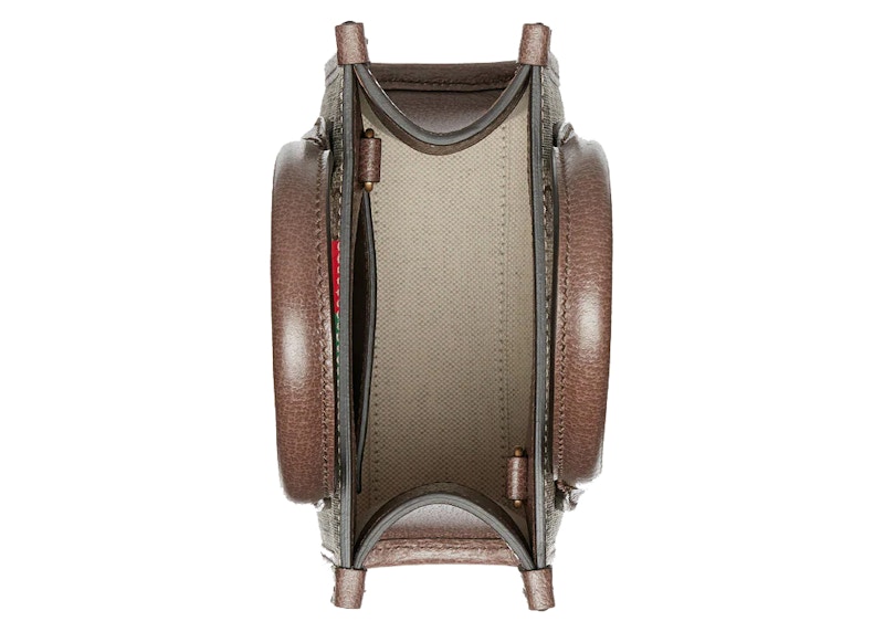 Lookbook Gucci Tiger GG迷你手提袋 米色/深褐色