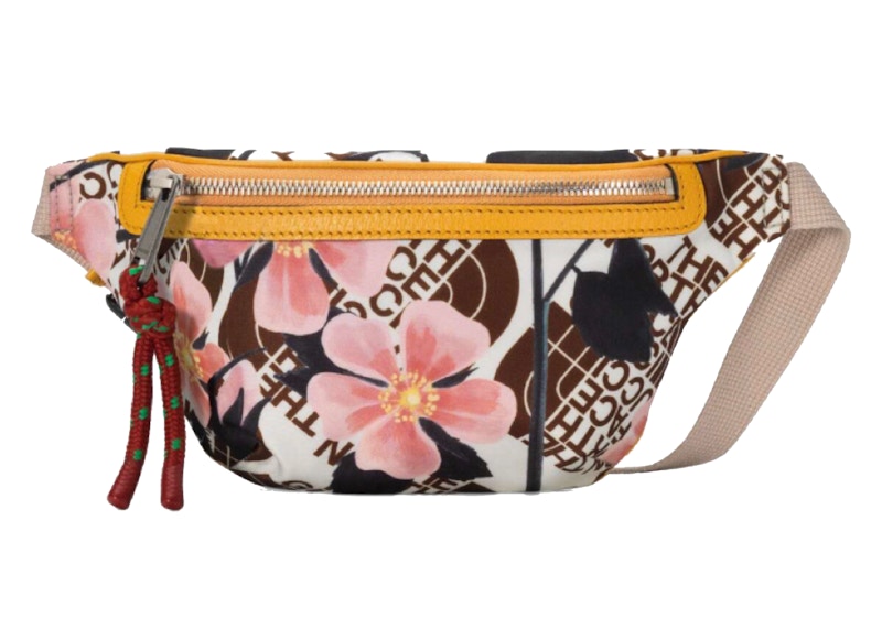 Gucci x The North Face Belt Bag Brown Multi