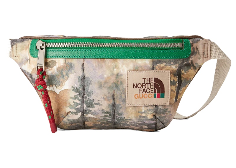 Gucci x The North Face Belt Bag Multicolor