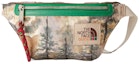 Buy Gucci x The North Face Belt Bag Multicolor