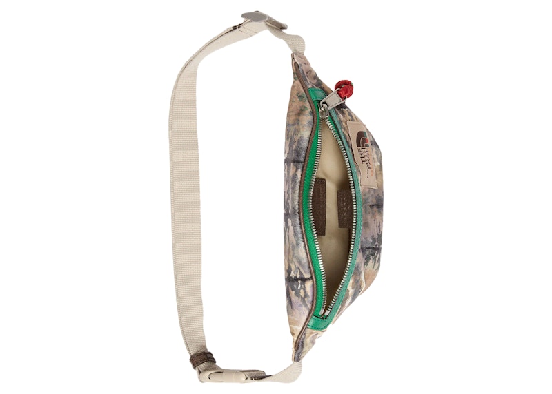 Lookbook Bolso Riñonera Multicolor Gucci x The North Face
