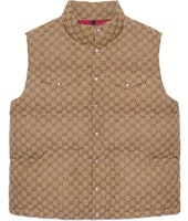 Gucci x The North Face Brown Logo Down Vest Collaboration 670768-Z8APY-2190 Gucci x The North Face Brown Logo Down Vest Collaboration 670768-Z8APY-2190