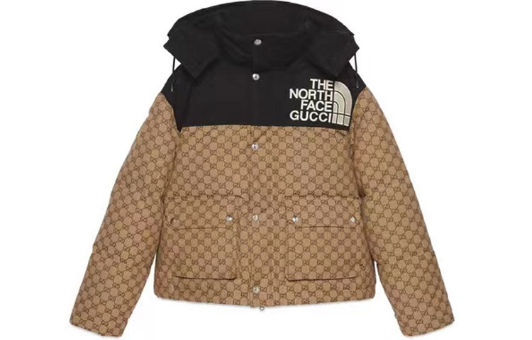 Gucci x The North Face Colorblock Down Jacket with Logo, Unisex, Brown 670908-Z8APZ-2184
