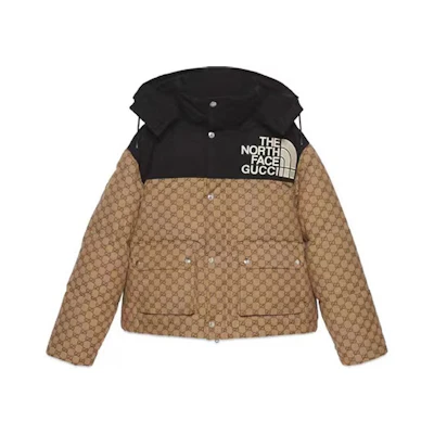 Gucci TNF Colorblock Down Jacket with Logo, Unisex, Brown 670908-Z8APZ-2184
