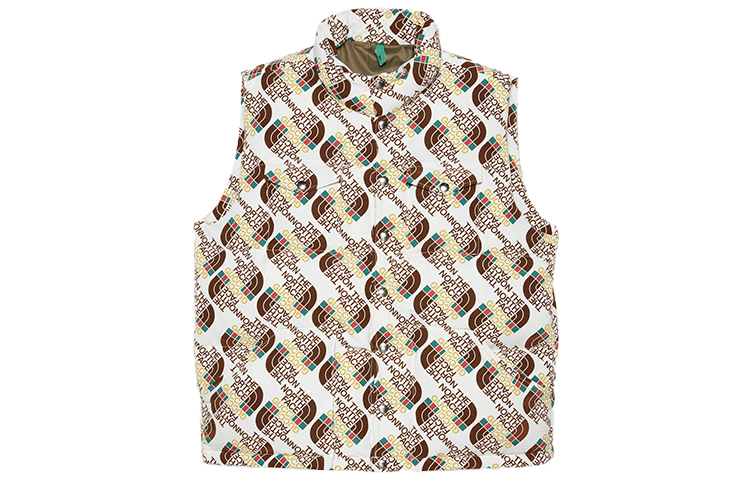 Gucci x The North Face FW20 Full Logo Puffer Vest Multicolor 648864-XAABY-9097