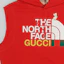 Lookbook GUCCI x THE NORTH FACE 聯名款無袖連帽衫。 663243-XJDW2-3450