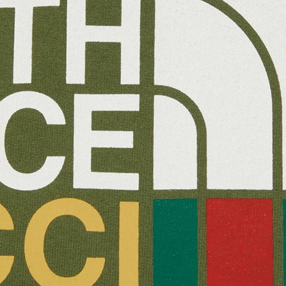 Details for GUCCI x THE NORTH FACE 聯名款無袖連帽衫。 663243-XJDW2-3450