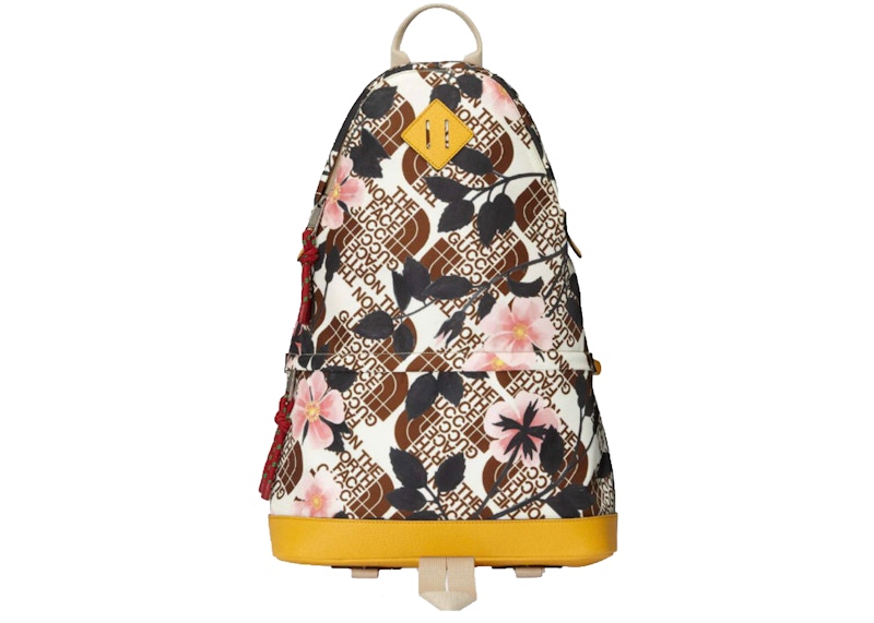 Gucci x The North Face Medium Backpack Brown Multi