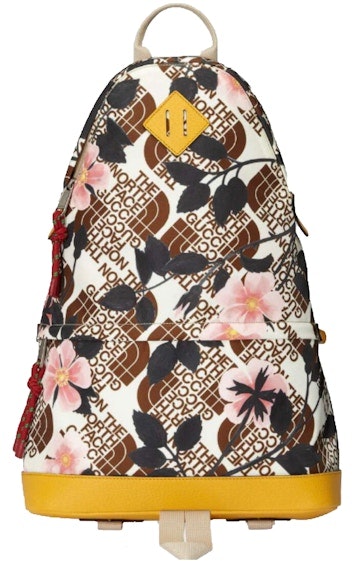gucci-x-the-north-face-medium-backpack-brown-multi