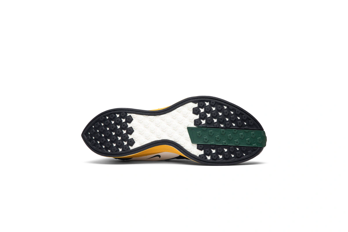 Gyakusou x Nike Zoom Pegasus Turbo 'Fir Black' BQ0579-300