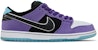 Hayley Wilson x Nike Dunk Low SB 'Ungu Court' HJ0513-500