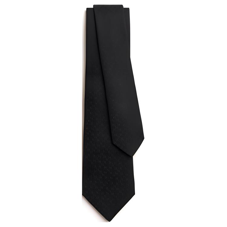HERMES  Black Tie with H Jacquard Detailing H036233T 01