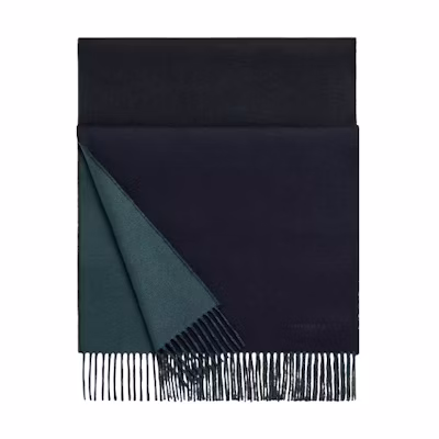 HERMES Double-Sided Cashmere Tassel Warm Scarf H393800T 29