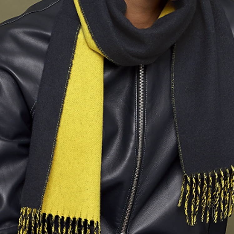 HERMES Iconic Embroidered Cashmere Wool Scarf Unisex. H393795T04 圖 3