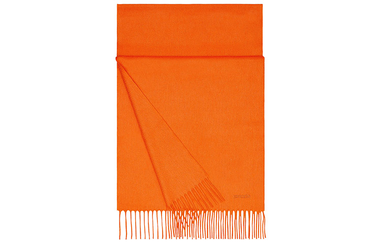 HERMES Logo Cashmere Scarf with Tassels Unisex H393700T