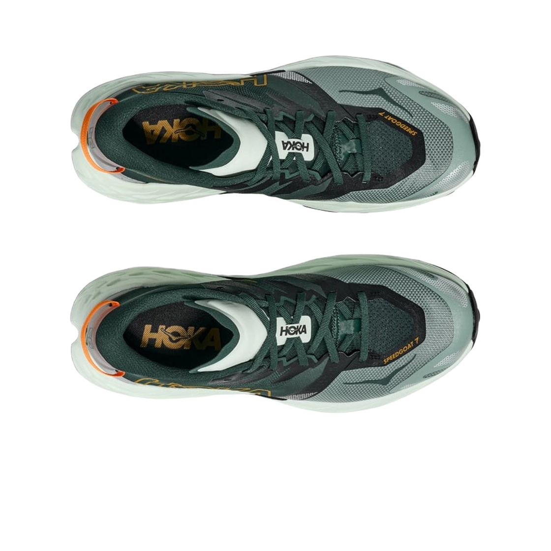 Order HOKA Speedgoat 7 'Bay Leaf' 1171928-BFS