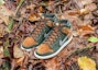Lookbook Homegrown x Nike SB Dunk High PRM 'Sequoia' 839693-302