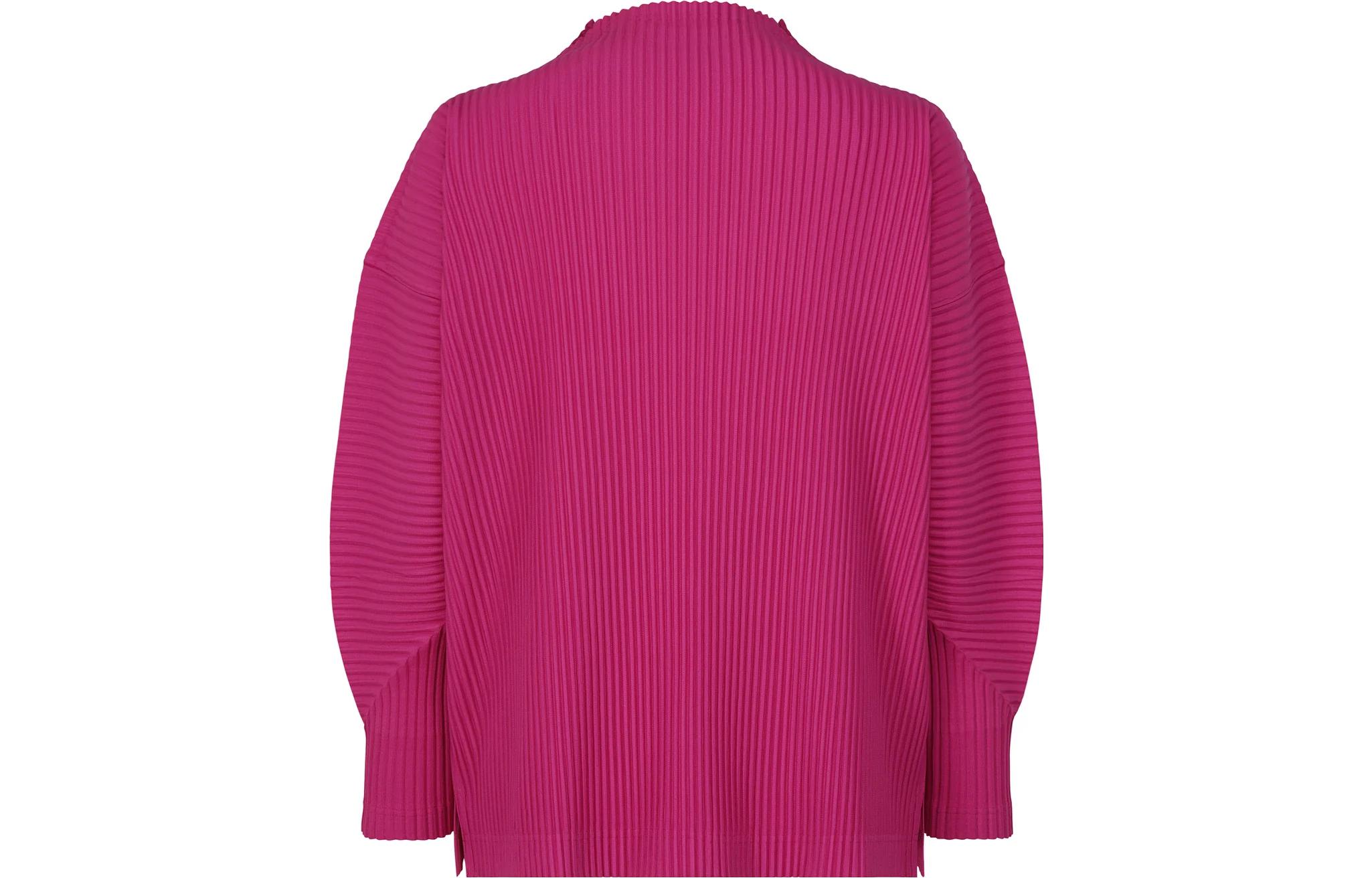 Lookbook オムプリッセ イッセイミヤケ ソリッドストライプ 長袖Tシャツ カジュアルウェア HP38JK123-25