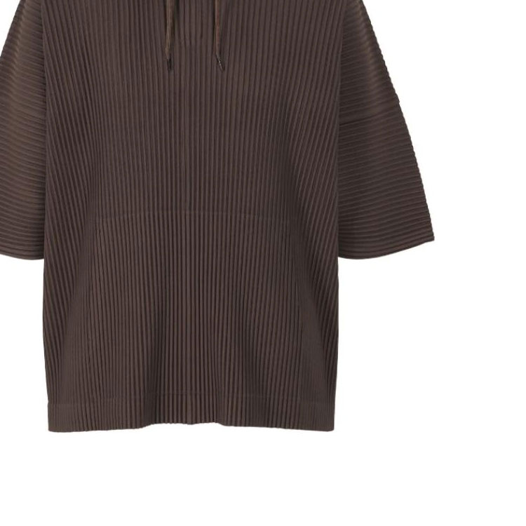 Details for Homme Plissé Issey Miyake SS24 男裝棕色褶皺寬鬆連帽衫 HP46JK127-47