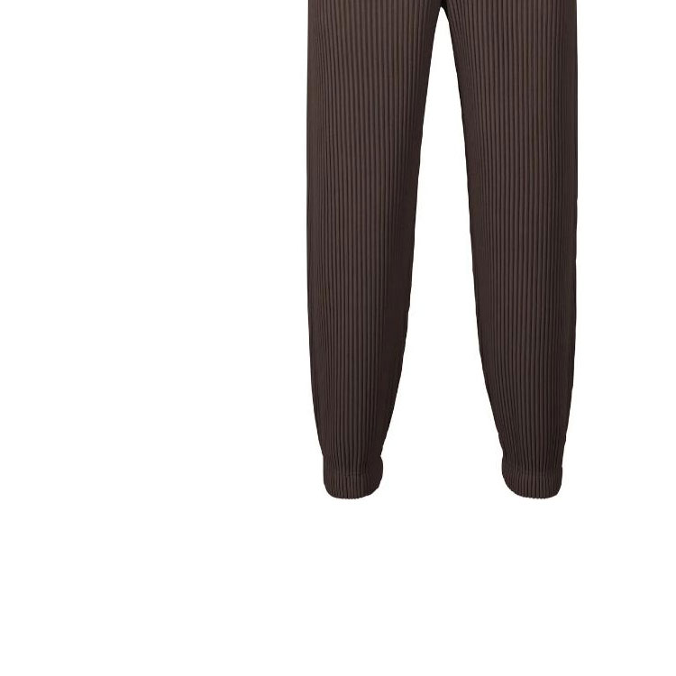 Purchase Homme Plissé Issey Miyake SS24 中腰褶皺寬鬆長褲 深棕 男裝 HP46JF129-47