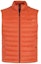 Order HUGO BOSS FW23 Orange Sleeveless Casual Zip Cotton Vest with Logo. 50471854-801