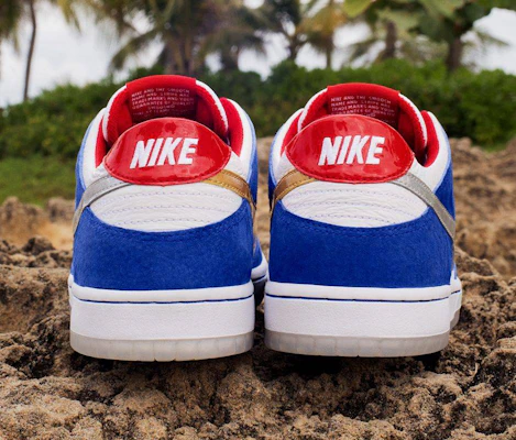 Nike sb dunk low top pro ishod wair shoes
