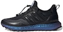 Buy ISS US National Lab x adidas UltraBoost Cold.RDY DNA 'Core Black' H05257