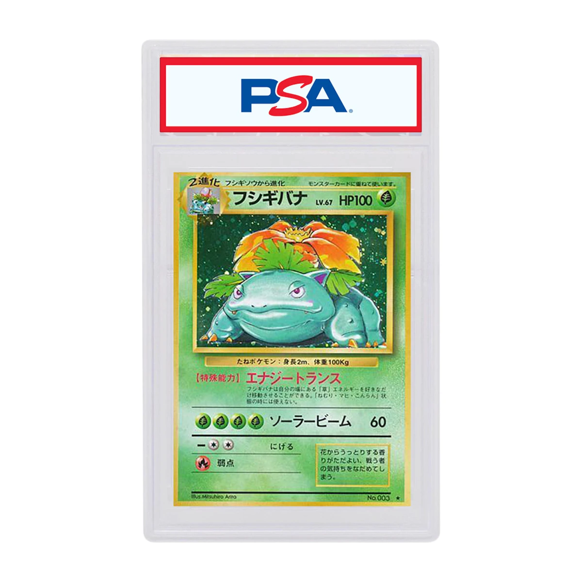1st edition venusaur pokemon card How to identify this version? style setup or your main portfolio Old Back Pokmon Card Venusaur
