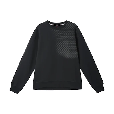 Jordan GFXFlt AS CNY "Year of the Snake" Black Crewneck Sweatshirt HQ8826-010