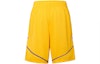Lookbook 乔丹NBA全明星2021标志印花黄色篮球短裤男款. CV4760-728