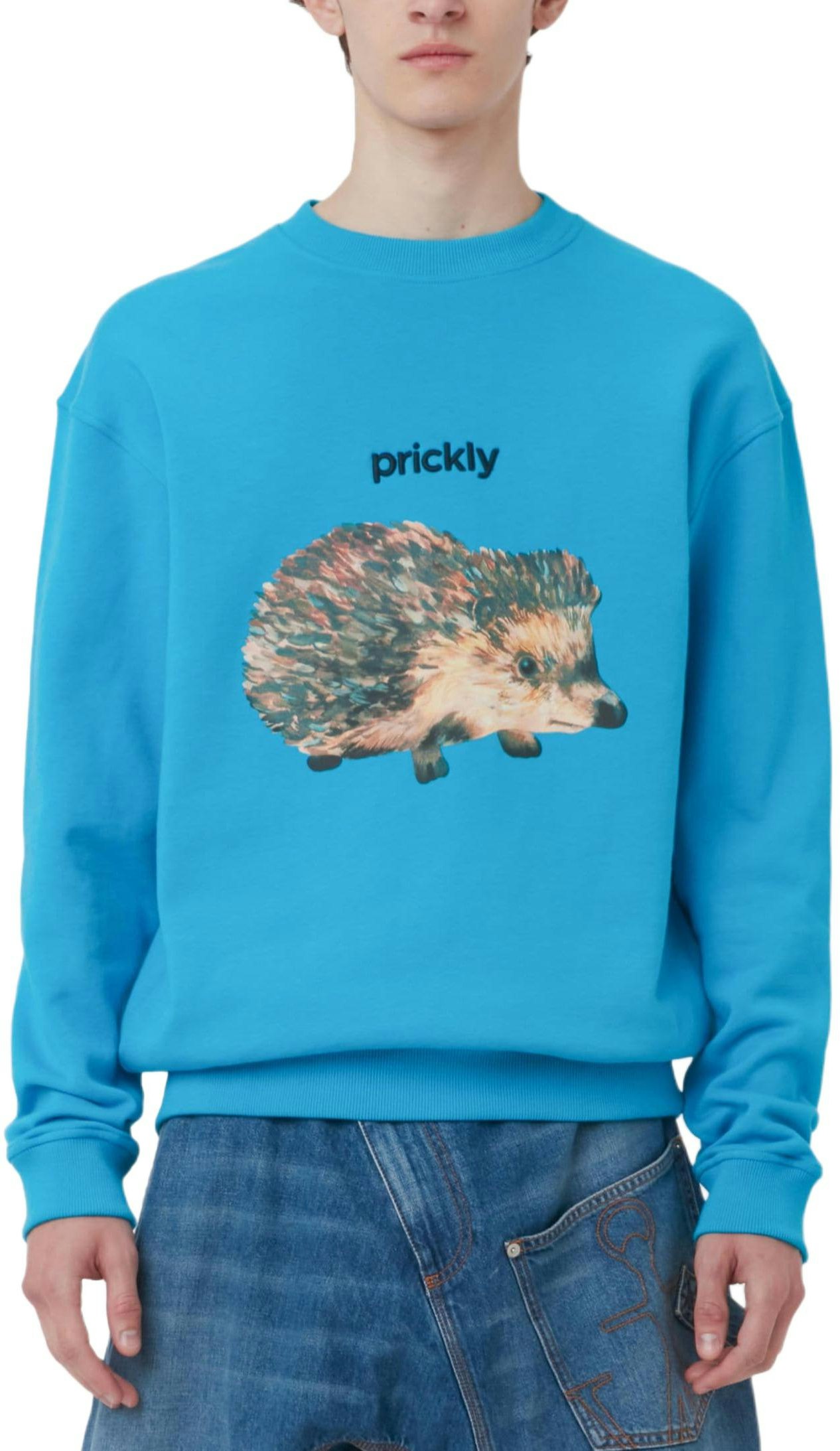 jw-anderson-ss-24-best-in-show-hedgehog-print-oversized-sweatshirt-blue-men-jw-0211-pg-1669825