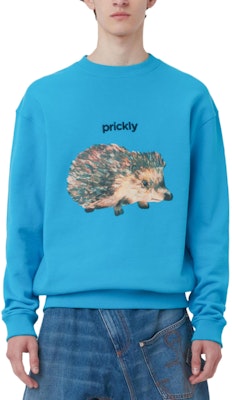 Sudadera Azul Oversize con Estampado Erizo JW Anderson SS24 para Hombre JW0211PG1669825 Order Sudadera Azul Oversize con Estampado Erizo JW Anderson SS24 para Hombre JW0211PG1669825