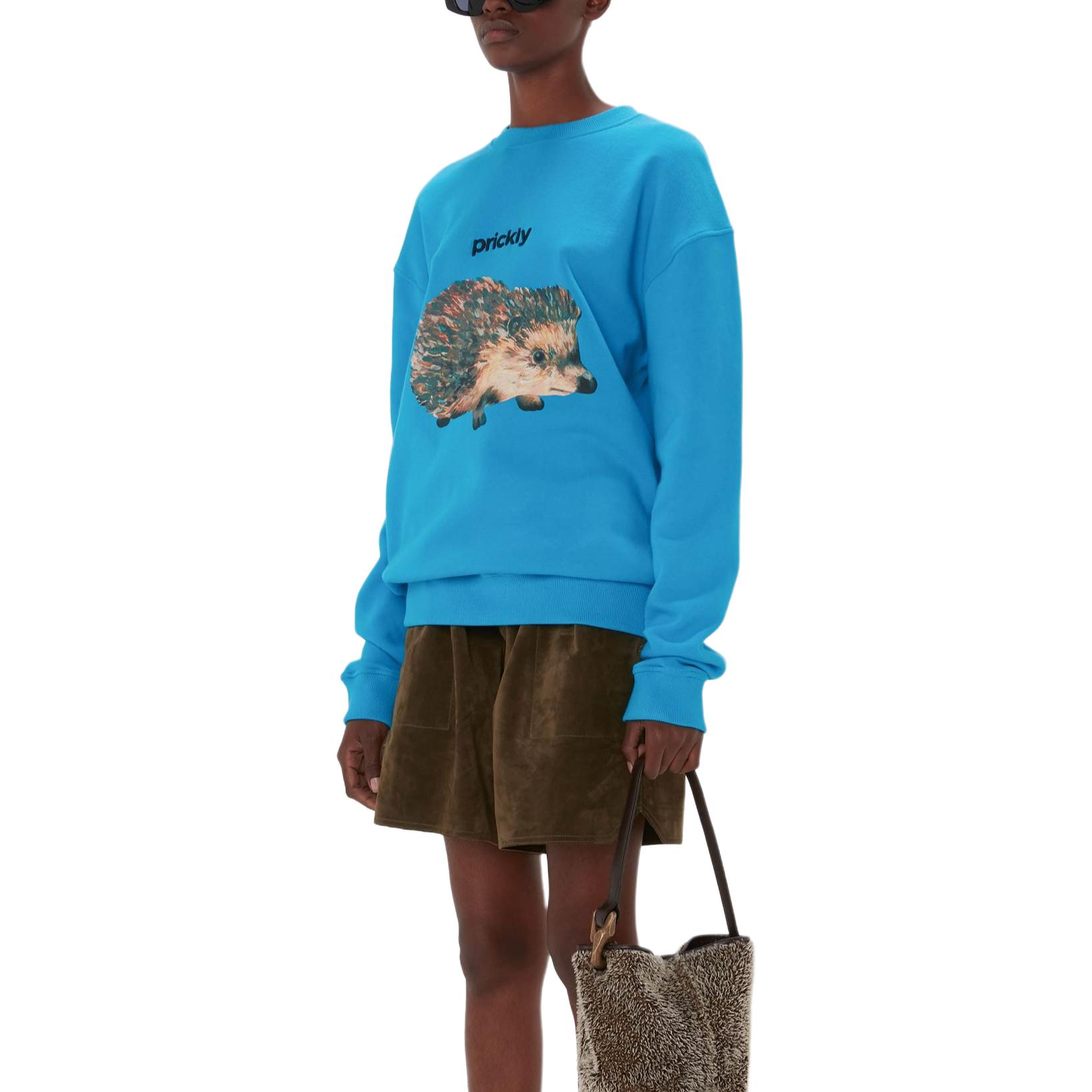 Shop Sudadera Azul Oversize con Estampado Erizo JW Anderson SS24 para Hombre JW0211PG1669825