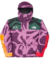 KAWS x The North Face Mountain Parka Jacket 'Purple Green' KAWS x The North Face Mountain Parka Jacket 'Purple Green'