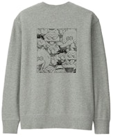 KAWS x Uniqlo x 芝麻街 XX 運動衫(美國尺寸)灰色 Order KAWS x Uniqlo x 芝麻街 XX 運動衫(美國尺寸)灰色