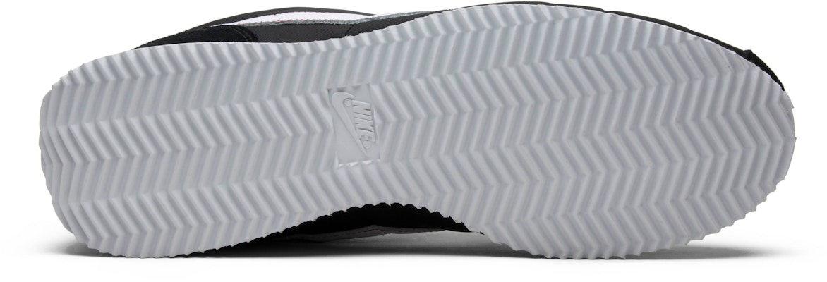 Bet it back 2024 cortez