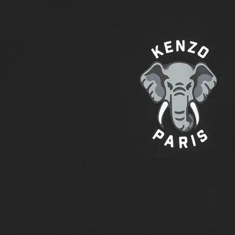 Cheap KENZO SS24 大象标志印花休闲圆领T恤. FE55TS1884SG-99J