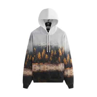 KITH Fall/Winter Unisex Printed Pocket Hoodie - White. KHM031509-162