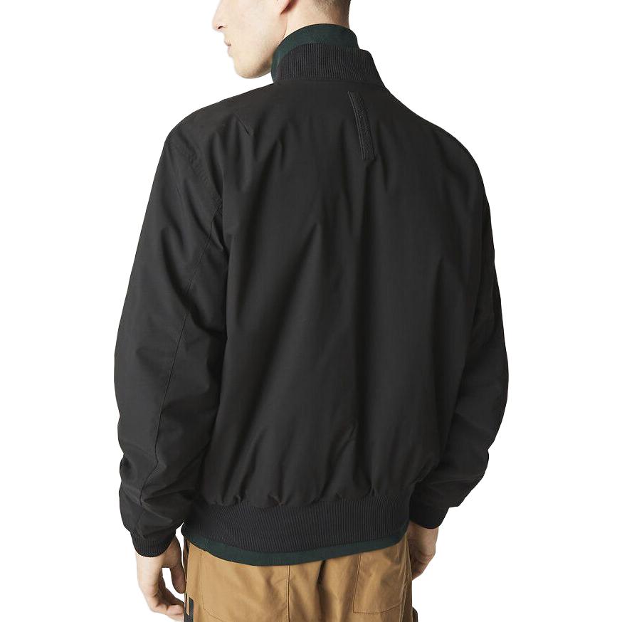 Shop LACOSTE 黑色飛行夾克 - 素色立領外套 BH0549-031