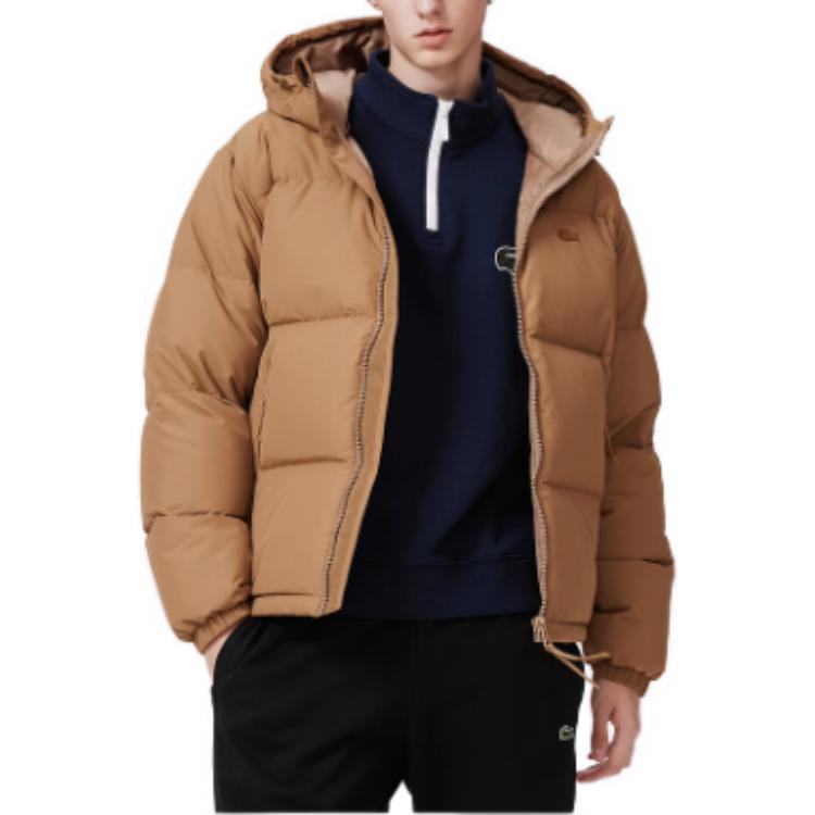 LACOSTE  Brown Solid Color Hooded Down Jacket - Casual & Warm. BH4484-ZOW 圖 5
