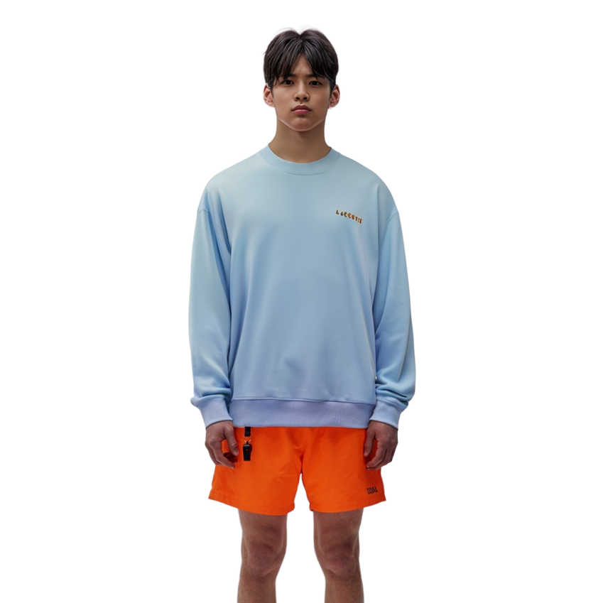 Shop LACOSTE  Casual Crewneck Long Sleeve Sweatshirt Blue. SH9229 TFI