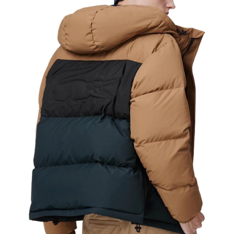 Lacoste  Colorblock Hooded Down Jacket - Warm and Stylish BH4485-TPV 圖 4