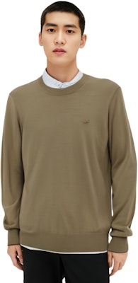 LACOSTE FW23 Camel Crewneck Knit Sweater Long Sleeve Casual Pullover AH1969-CBB Sizing LACOSTE FW23 Camel Crewneck Knit Sweater Long Sleeve Casual Pullover AH1969-CBB