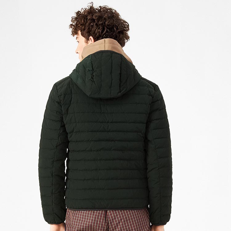 Sizing LACOSTE 轻便连帽羽绒夹克 - 纯色保暖 BH8522